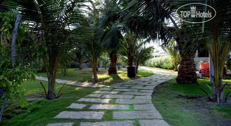 New photos from tourists Blue Shell Resort 4*