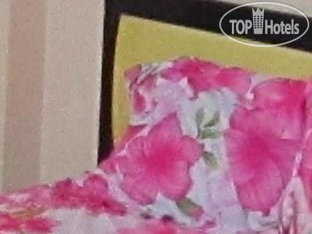 New photos from tourists 190 Hotel 1*