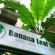 Photos Banana Leaf Hotel