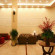 Photos Prostyle Hotel