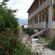 Photos Лотос