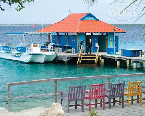 New photos from tourists Divi Flamingo Beach Resort and Casino 3*
