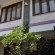 Photos Pondok Krishna Poppies