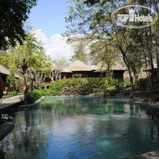 Photos The Menjangan