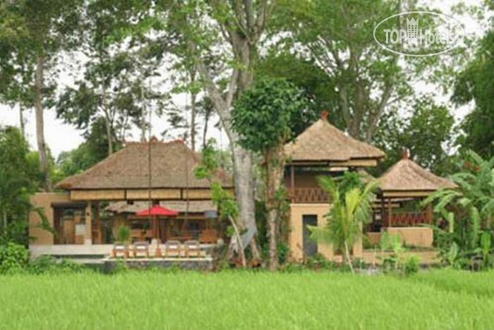 Фото Villa Tamu Seseh