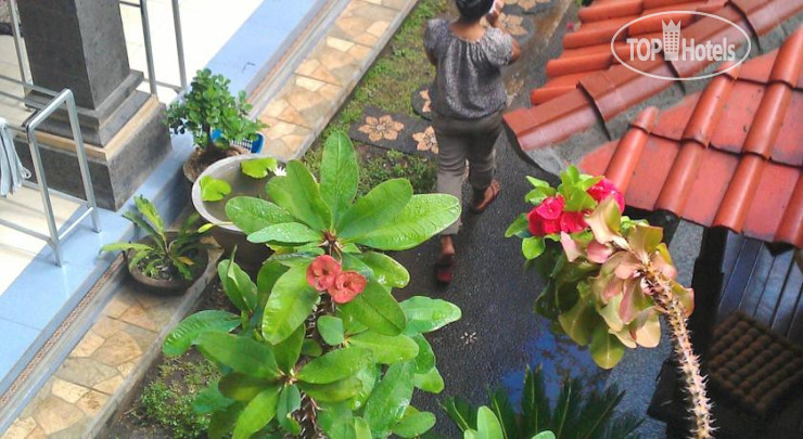 Photos Jangkrik Homestay