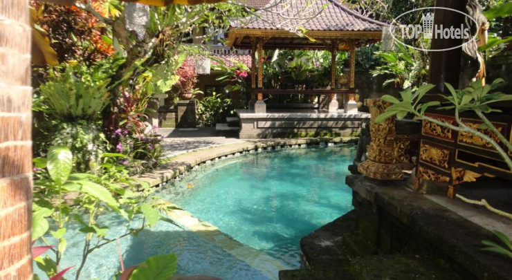 Photos Fibra Inn Bungalows