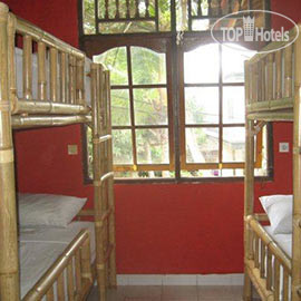Photos The Happy Mango Tree