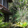 Photos Pager Bungalow's