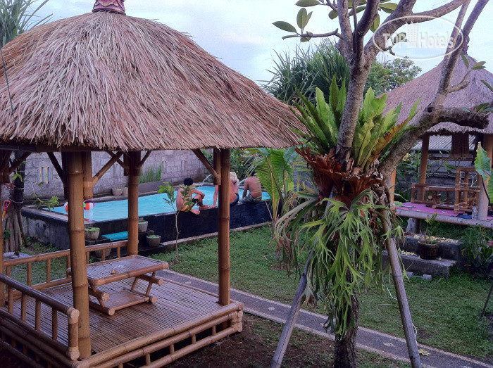 Photos The Djoyo Bed & Breakfast