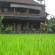 Фото Ubud Sensasi