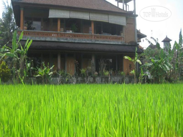 Photos Ubud Sensasi