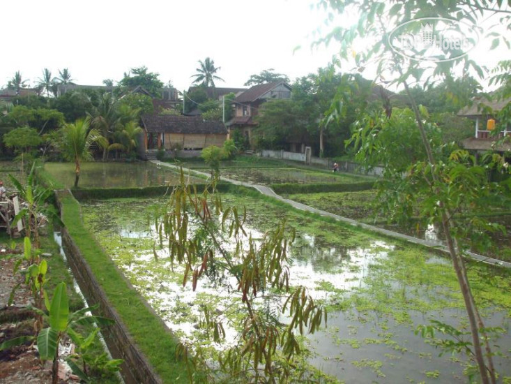 Photos Pecatu Villa
