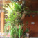 Photos Mekar Suci Inn