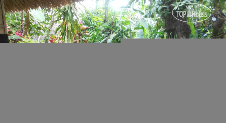 Photos Matahari Lumbung's Bungalow