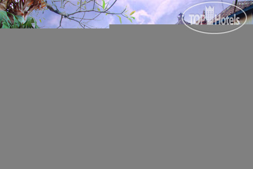 Photos Duana's Homestay