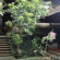 Photos Dewa Bungalows