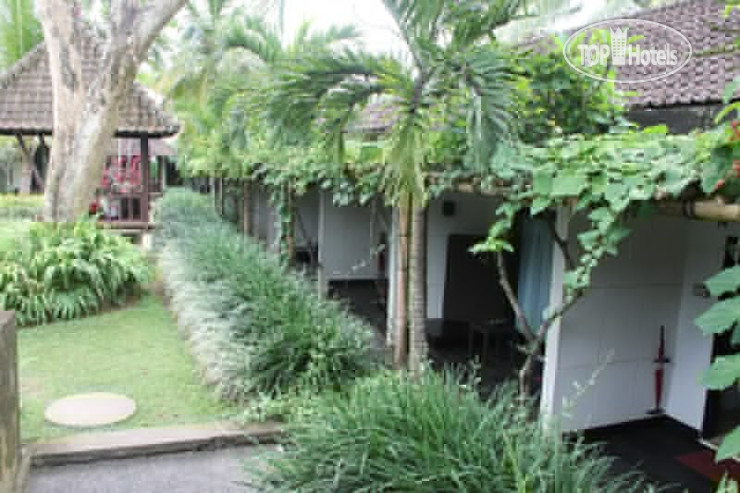 Фото Y Resort