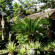 Photos Gunung Merta Bungalows