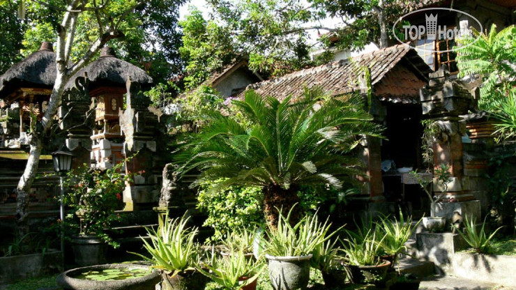Photos Gunung Merta Bungalows