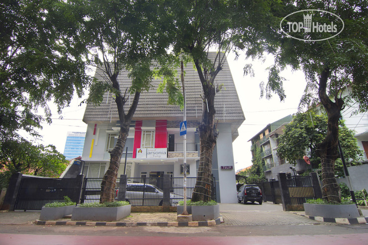 Photos House Of Arsonia Tulip