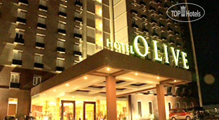 Фото Olive Hotel