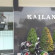 Фото Kailani Inn