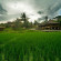 Photos Paddy City Resort Malang Hotel