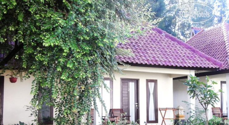 Photos Trio Homestay