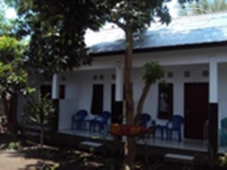 Photos Banana Leaf 3 Gt