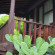 Фото Harum Meno Bungalow