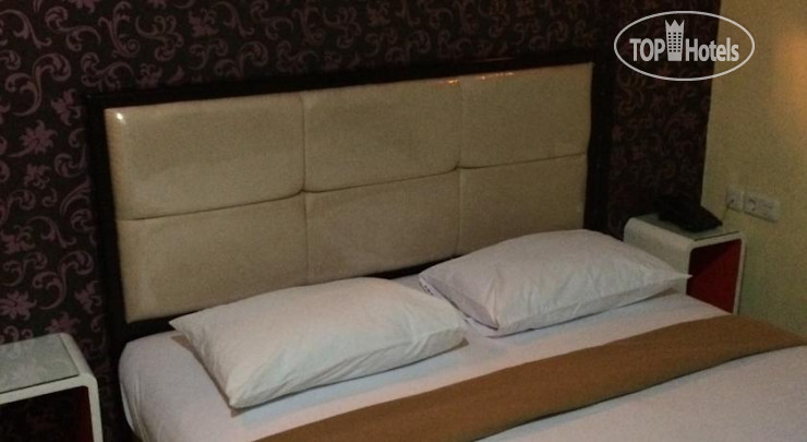 Hotel photo Hollywood Hotel 1*