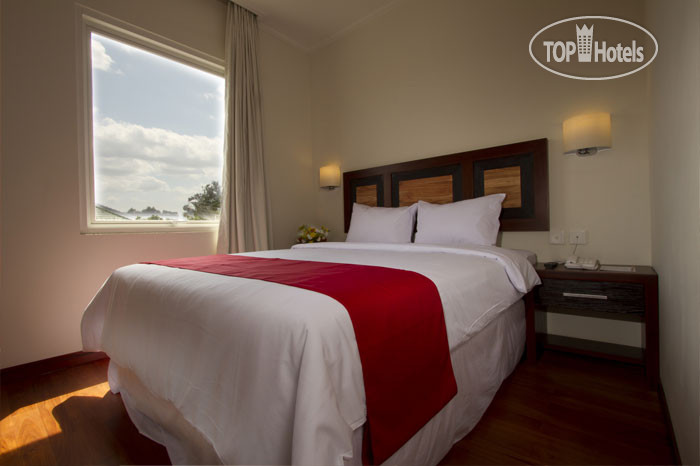 New photos from tourists Lampion Hotel 2*
