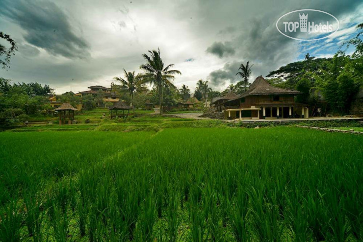 Hotelier's photos Paddy City Resort Malang Hotel 3*