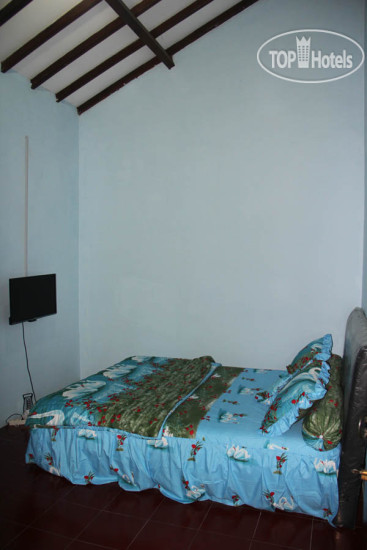 New photos from tourists OstiC House