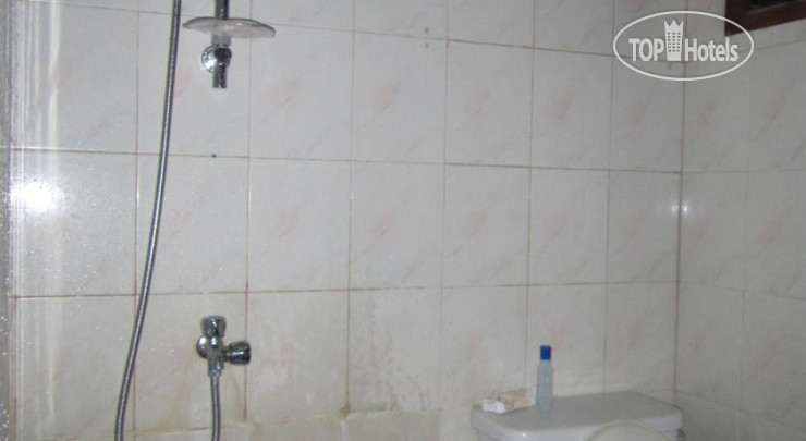 New photos from tourists Green East Hostel