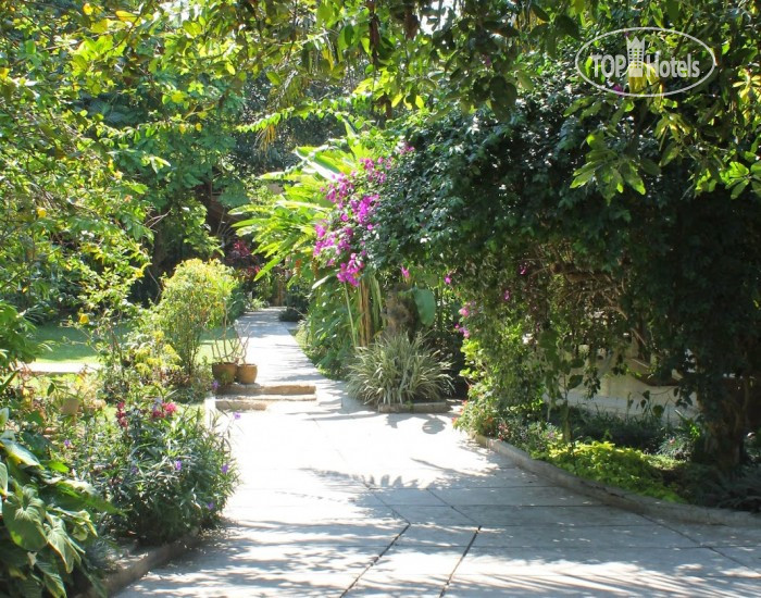 New photos from tourists Garden Hostel 2*