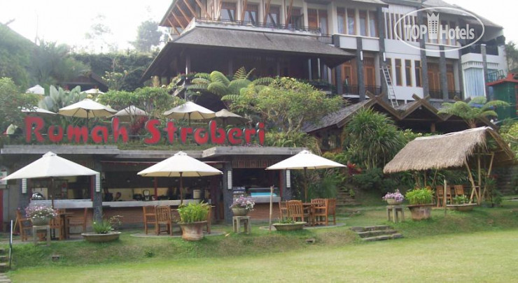 Hotelier's photos Rumah Stroberi 3*