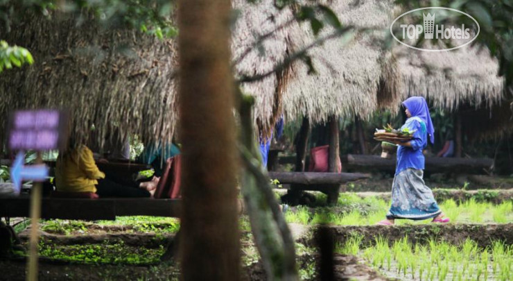 New photos from tourists Sapulidi 2*