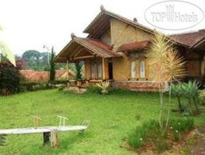 Photos The Radiant Bamboo