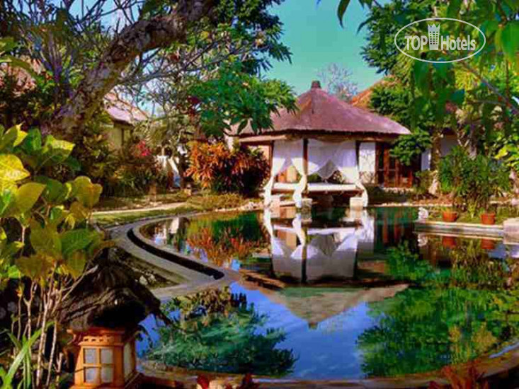 Hotel photo Mimosa Resort & Spa 4*