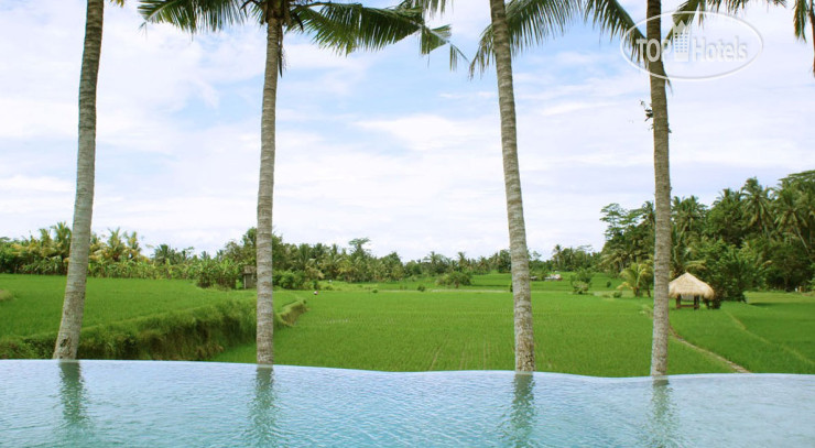 New photos from tourists Kenanga - Boutique Hotel 5*