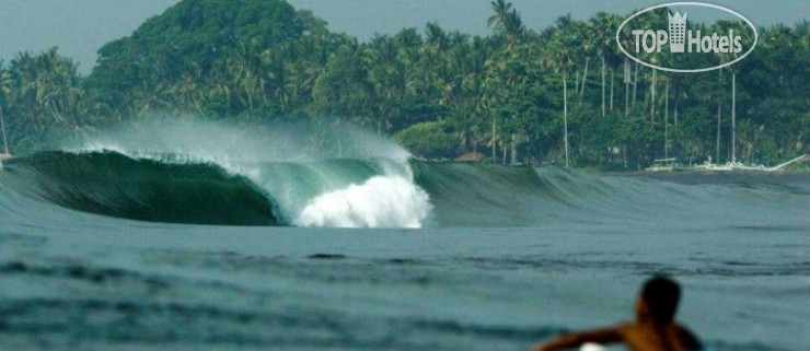 New photos from tourists Komune - Bali