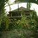 Photos Villa Indah Ubud