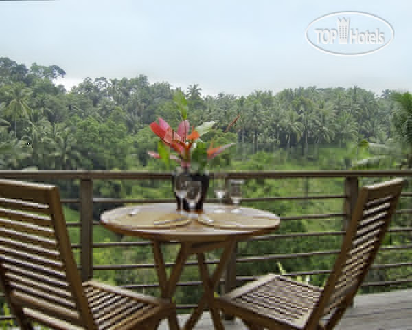 New photos from tourists Samaki Villa