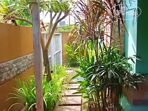 New photos from tourists Casa Nuri 3*