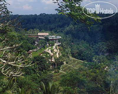 Hotel photo Four Seasons Resort Bali at Sayan 5*