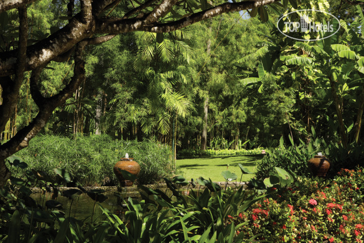 New photos from tourists Paradisus by Melia Bali 5*