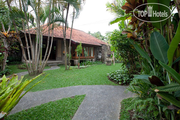 Hotel photo Villa Sonia 3*