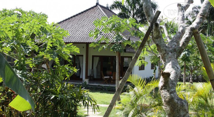 Hotel photo Adi Villa 4*